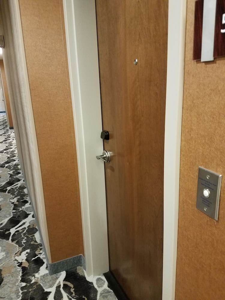Hilton Garden Inn Tampa Suncoast Parkway - photo 10