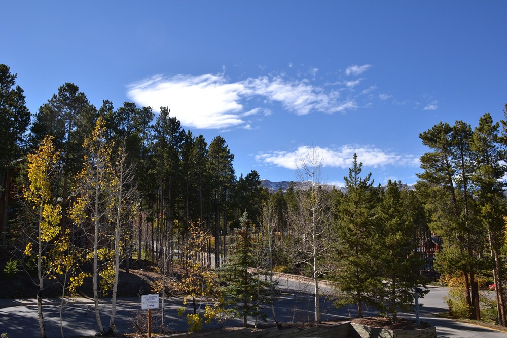 Chimney Ridge by Ski Village Resorts - photo 39