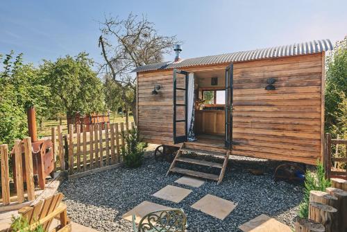 Curious Calf in Leominster, United Kingdom