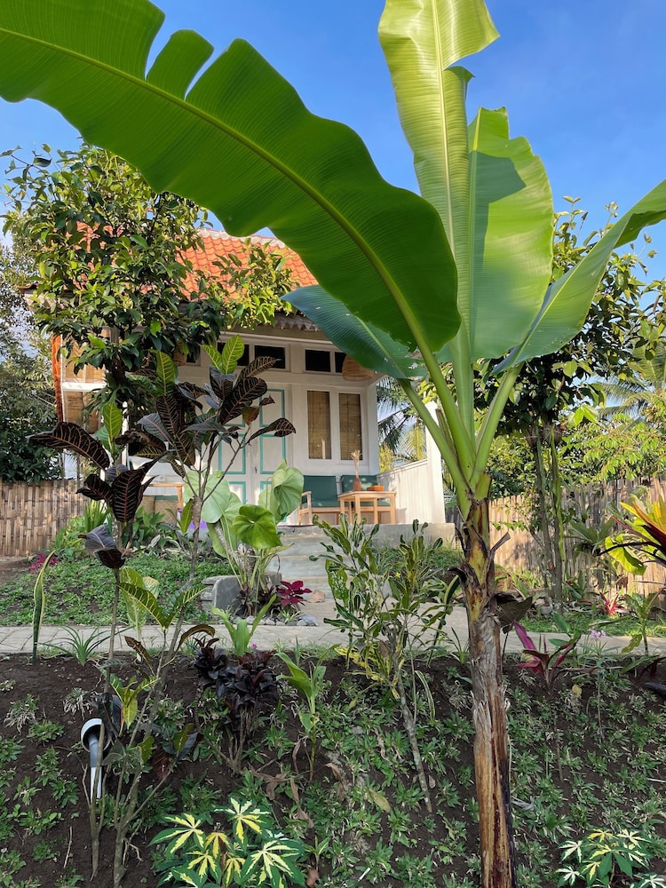 Purwa Ijen in Banyuwangi, Indonesia