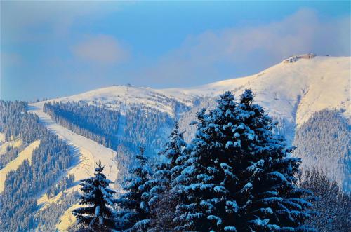 Chalet Stabler by Alpen Apartments — 4-Star Luxury Hotel in Zell Am See, Austria