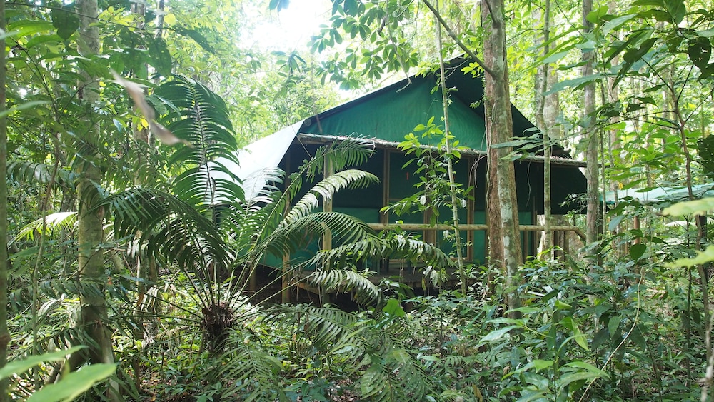 Daintree Crocodylus — Unknown City — photo 2