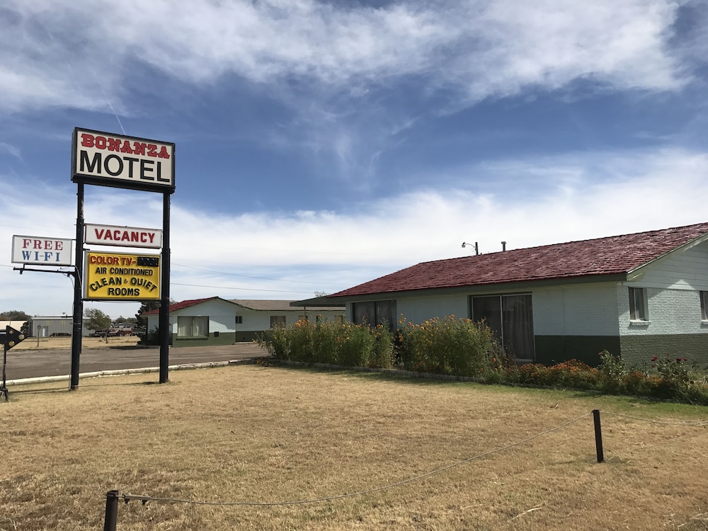 Bonanza Motel Vega - photo 37