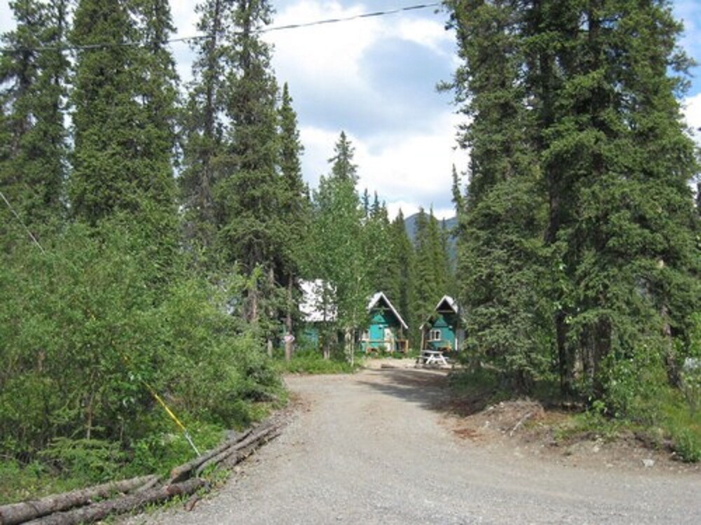 Denali Perch Resort - photo 55