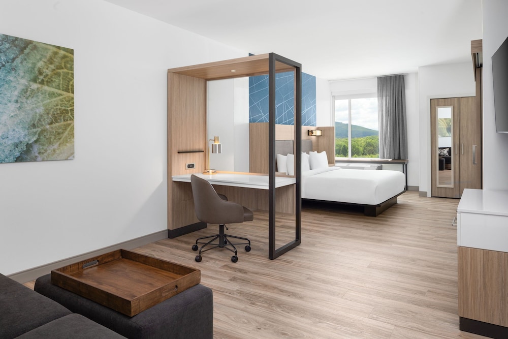 SpringHill Suites by Marriott Roanoke North - photo 7