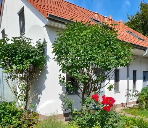 Strandhaus Mari - last minute hotel in Unknown City