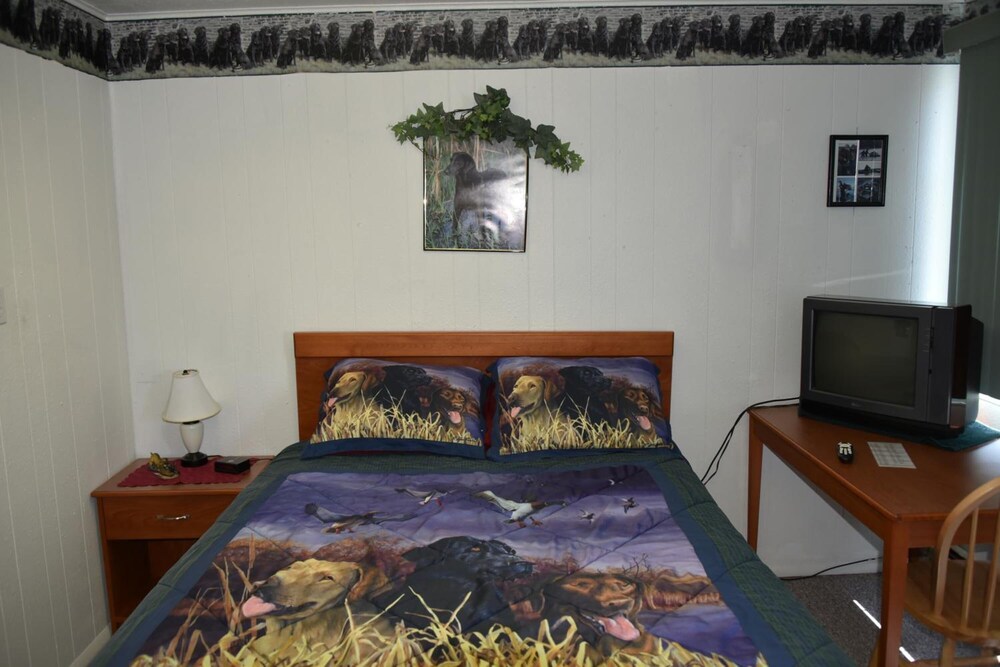 Royals Inn Motel - photo 16