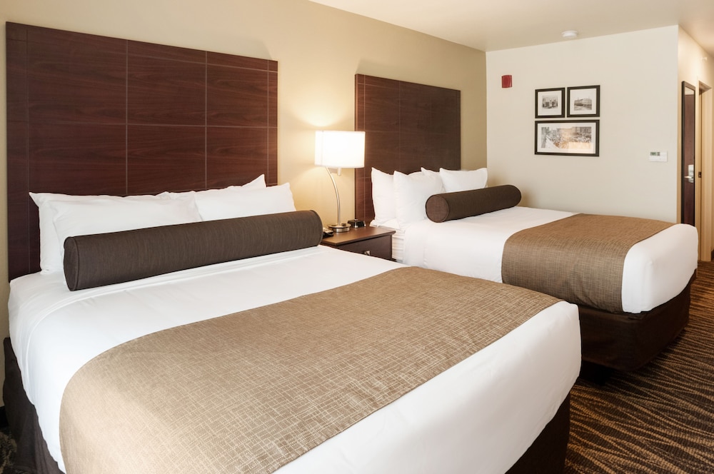 Cobblestone Inn & Suites at UW Stout Downtown Menomonie - photo 8