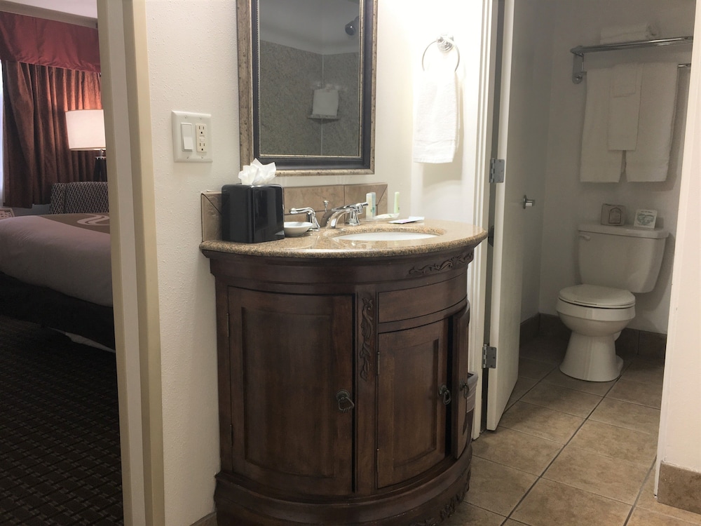 Quality Inn Airport Convention Center - photo 8