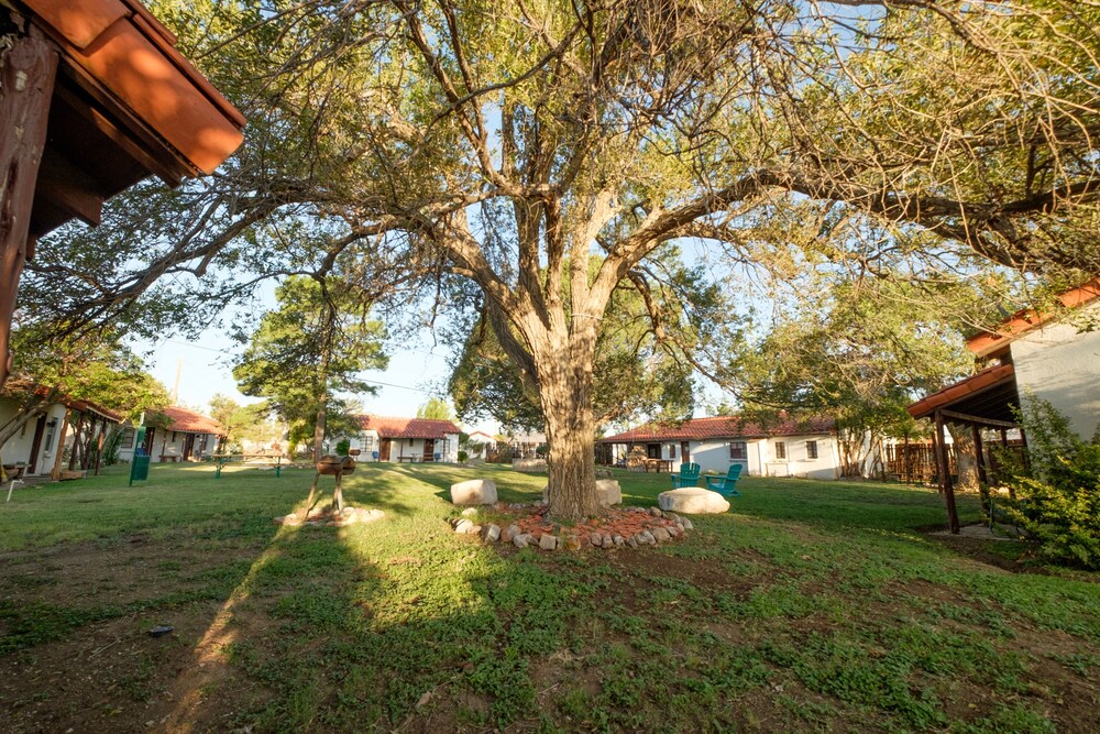Antelope Lodge - photo 30