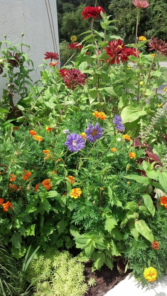 Jasmine Garden Inn - photo 57