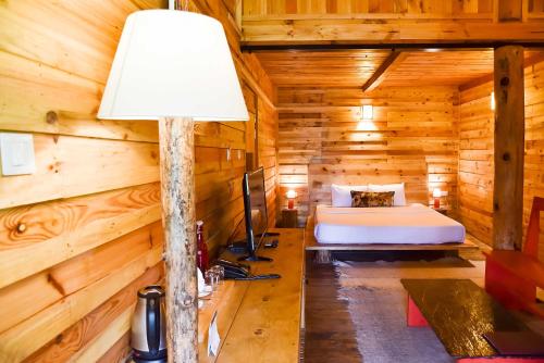 Suro Treehouse Resort — Shimla — photo 3