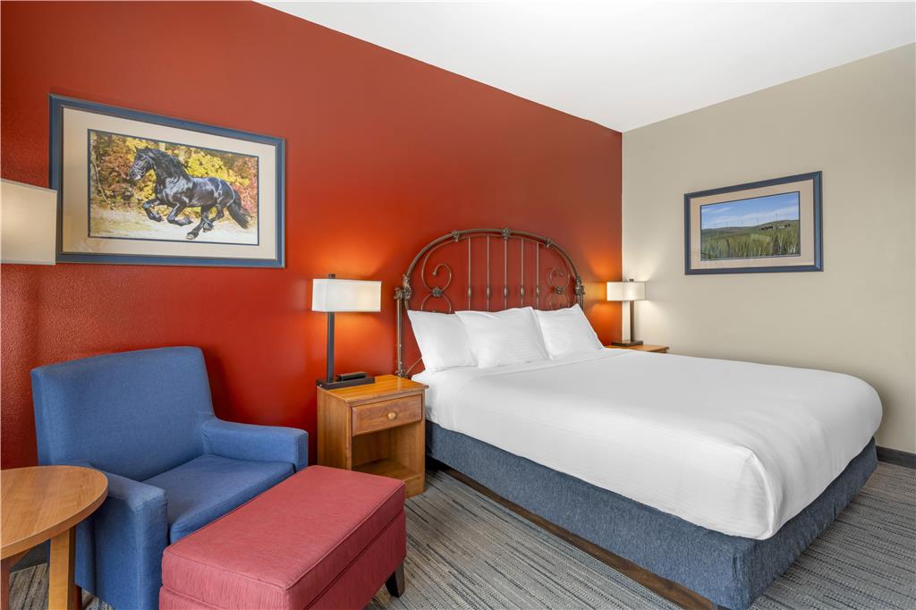 Best Western Bronco Inn - photo 31