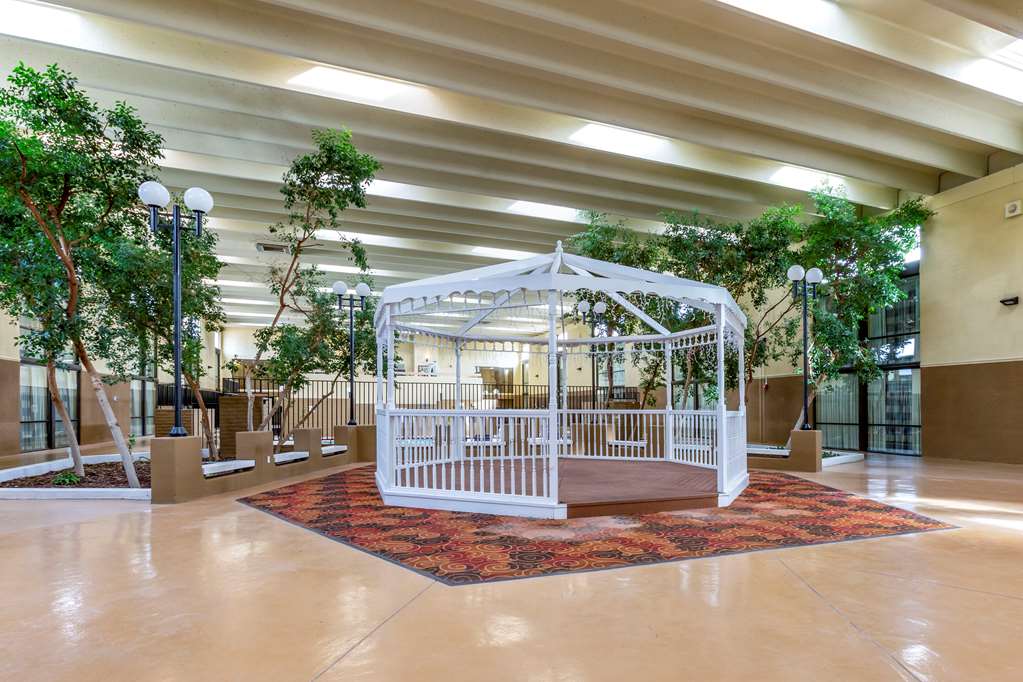 Clarion Inn and Suites Roswell NM - photo 20