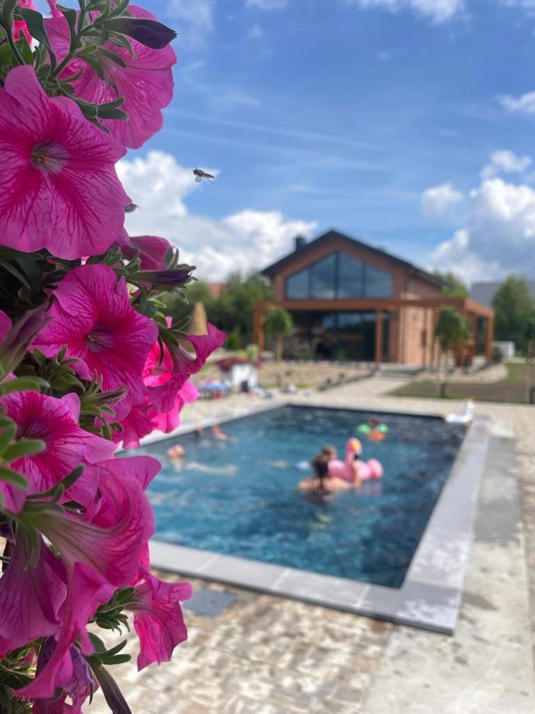 Czaple Resort - last minute hotel in Unknown City