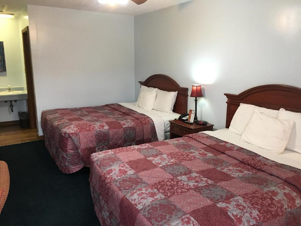 Huggy Bear Motel - photo 4
