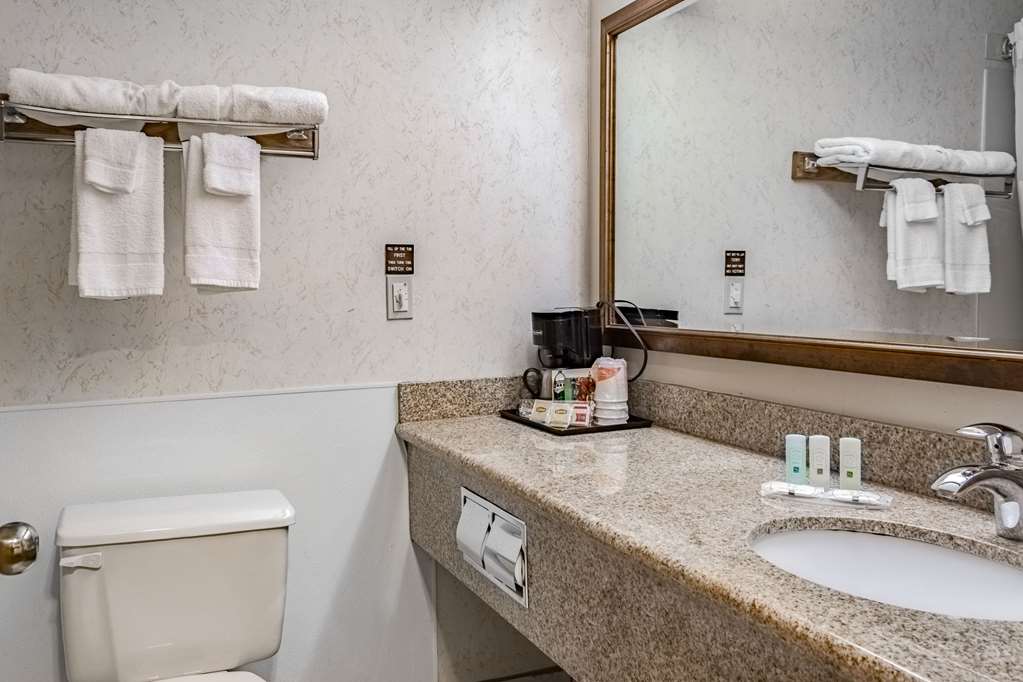 Quality Inn & Suites Vancouver North - photo 10