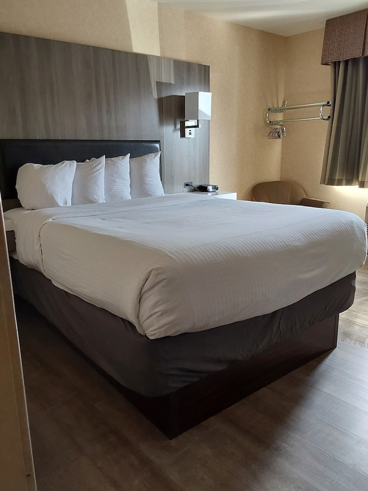 Lavissh Inn & Suites - photo 10