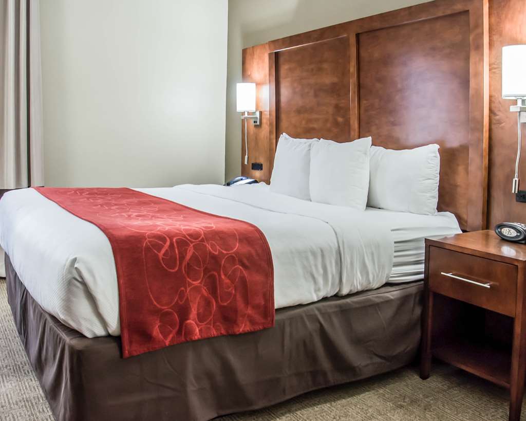 Comfort Suites University Research Park - photo 9