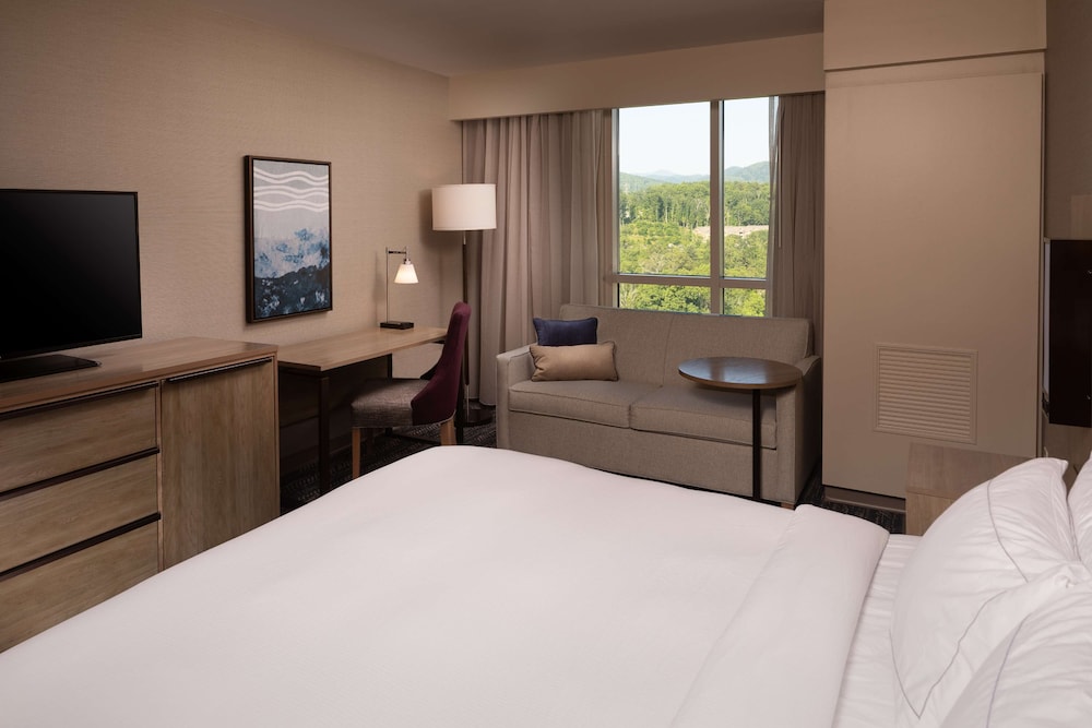 Hilton Asheville Biltmore Park - photo 36