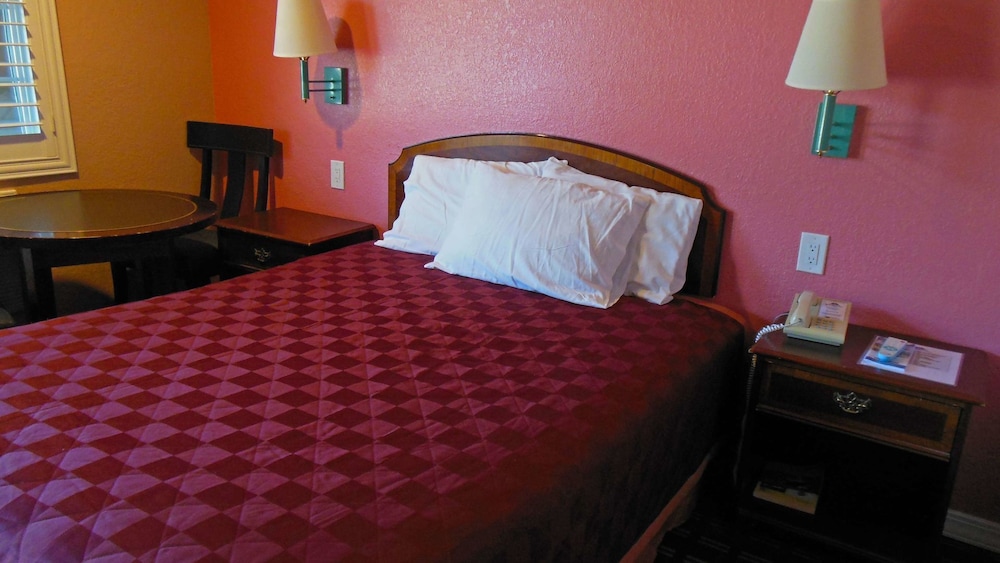 Sealamp Inn - photo 7