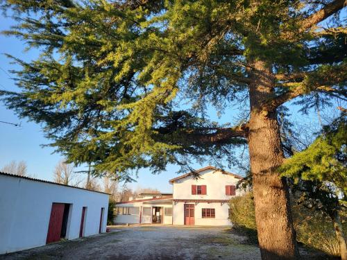 Wonderbar Auberge Du Trinquet pet-friendly hotel Corbarieu