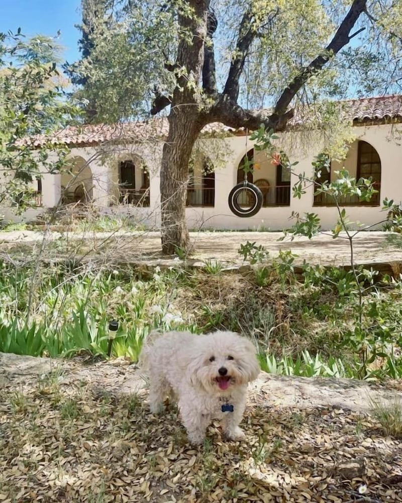 El Rancho Robles - photo 132