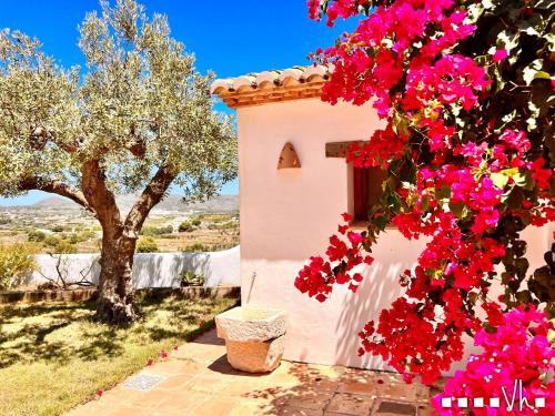 Vh Costablanca Mariposa — Benissa — photo 5