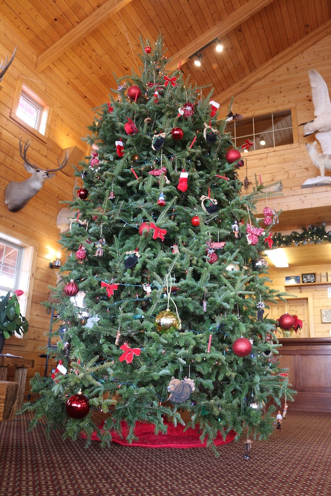 Range Country Lodging - photo 17
