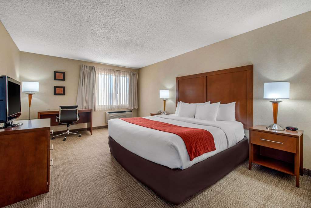 Comfort Inn Denver Southeast Area - photo 8