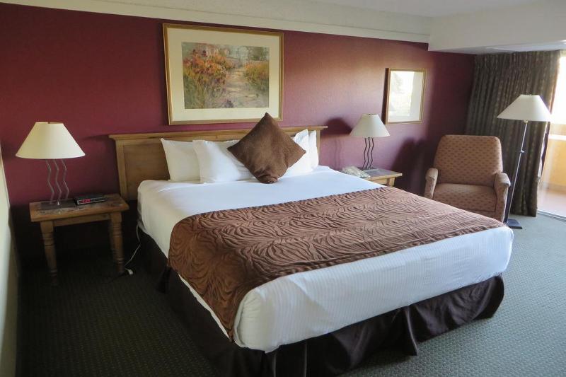 Atrium Hotel at Orange County Airport - photo 17