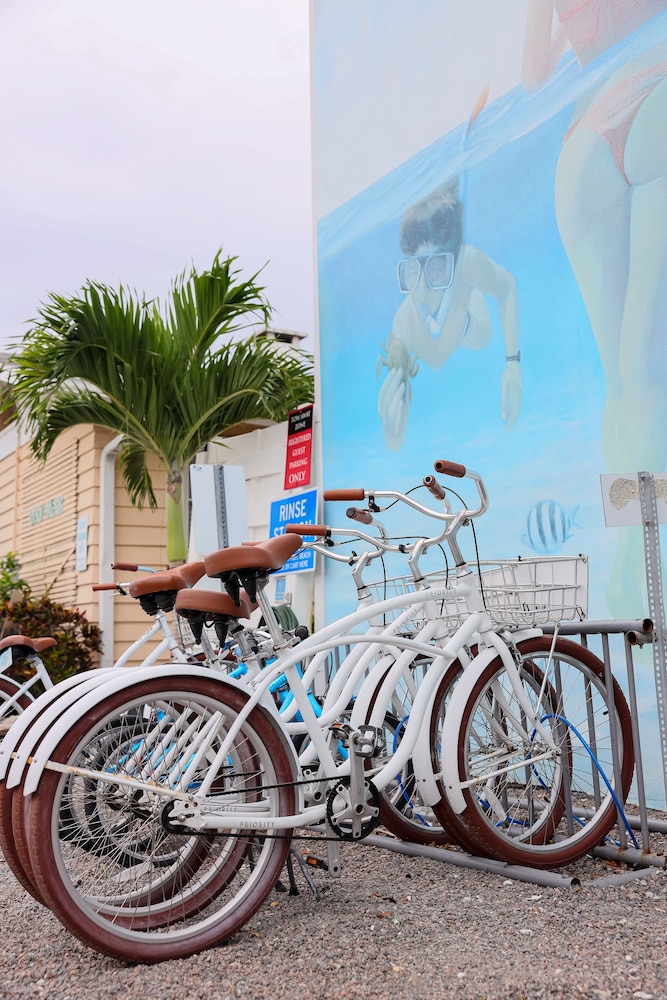 Siesta Key Beach Resort and Suites - photo 55