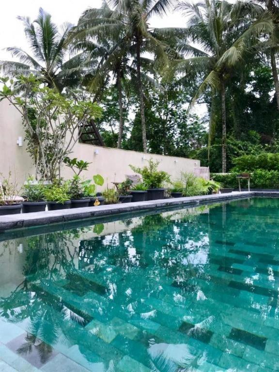 Omah SunFlower - last minute hotel in Yogyakarta