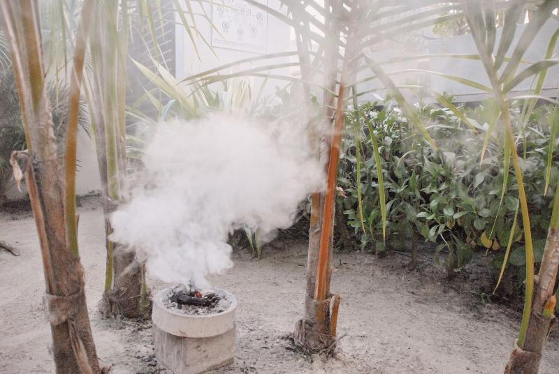 Boutique Hotel EL NIDO Holbox in Isla Holbox, Mexico