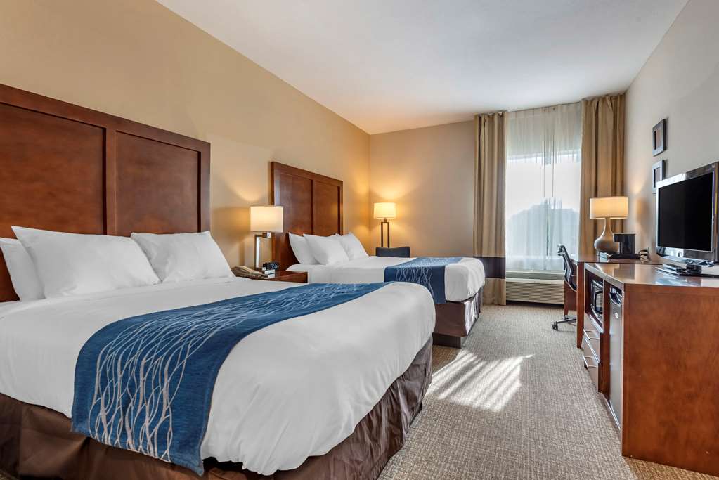Comfort Inn Apalachin Binghamton W Route 17 - photo 15