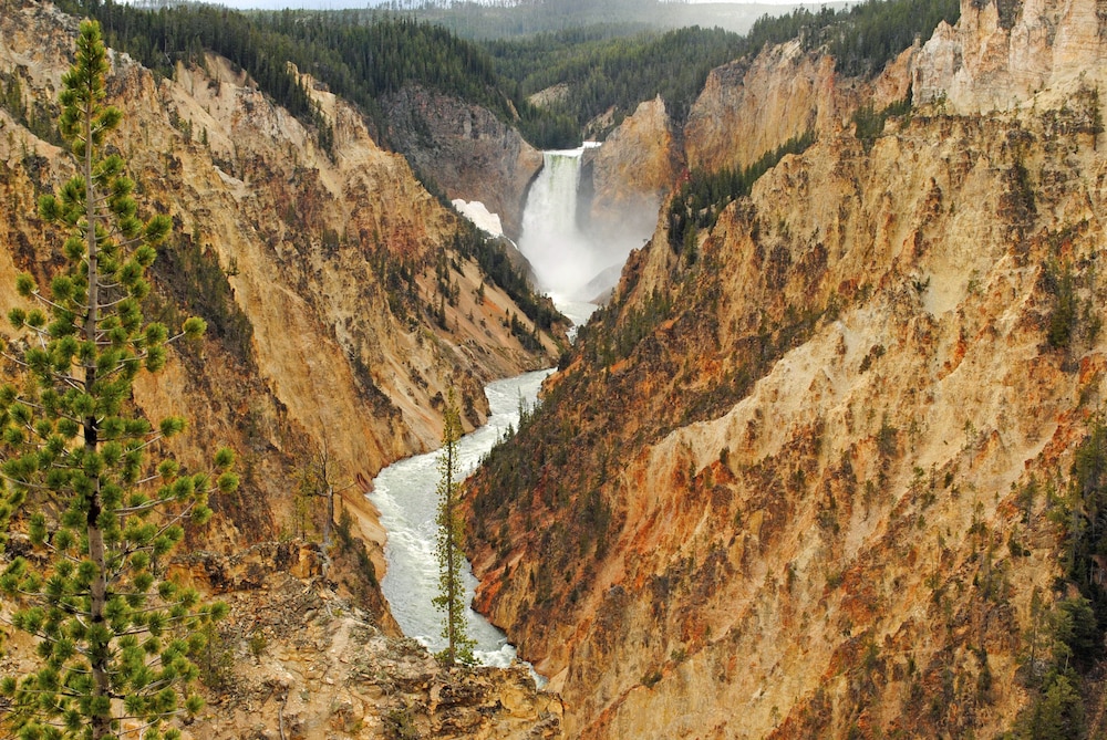 Holiday Inn West Yellowstone by IHG. - photo 205