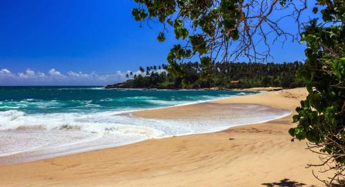 Ocean Dream - last minute hotel in Tangalle