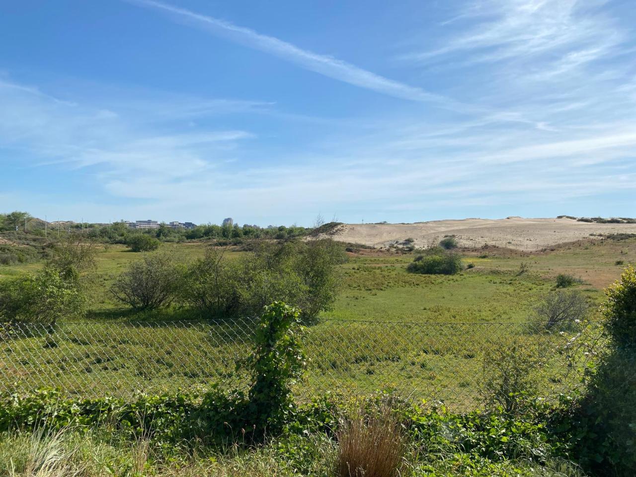 Duin in Koksijde, Belgium