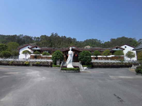 Jiulong White Tea Manor — Rucheng