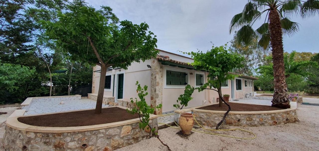 Alcippe in Kallithea, Greece