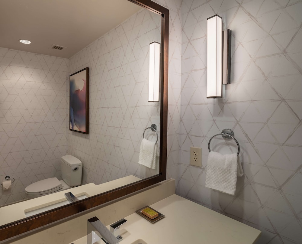 Hilton Asheville Biltmore Park - photo 51