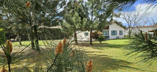 Brimborion in Mimizan, France