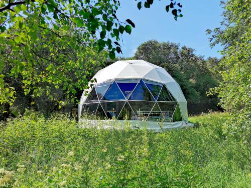 Teapot Lane Glamping Adults only in Sligo, Republic of Ireland