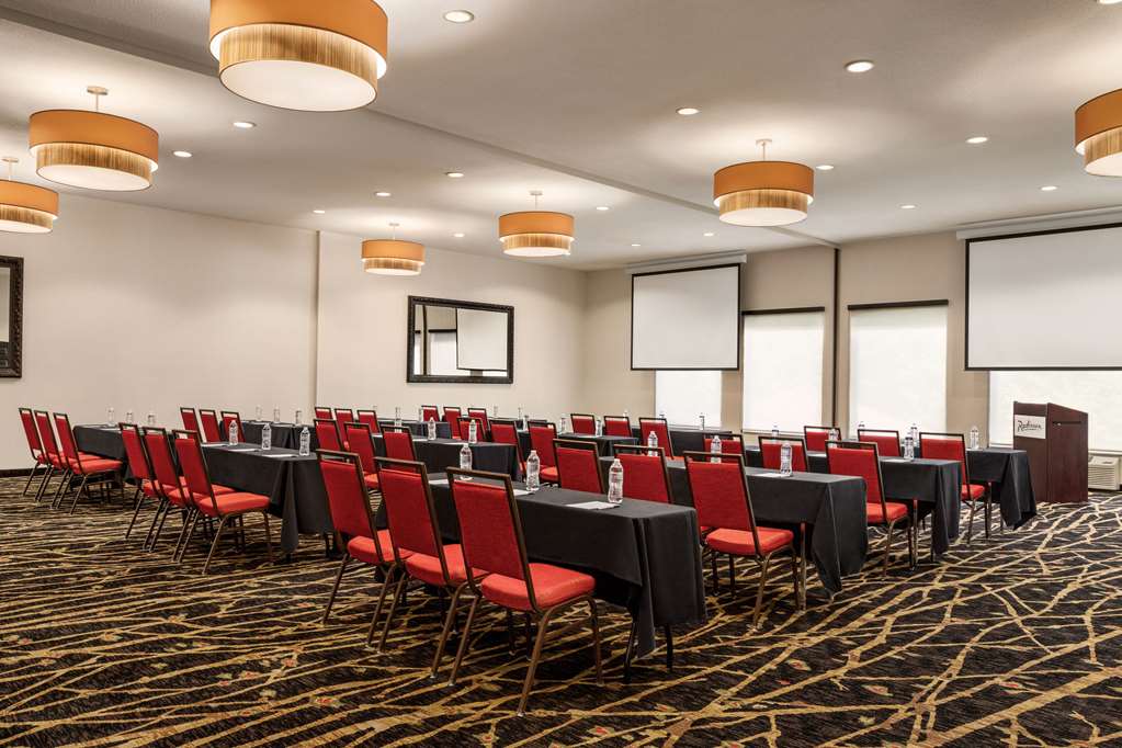 Radisson Hotel Colorado Springs Airport - photo 36