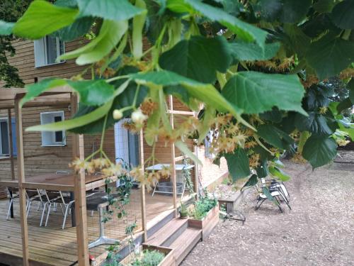 Sous les tilleuls in Unknown City, France