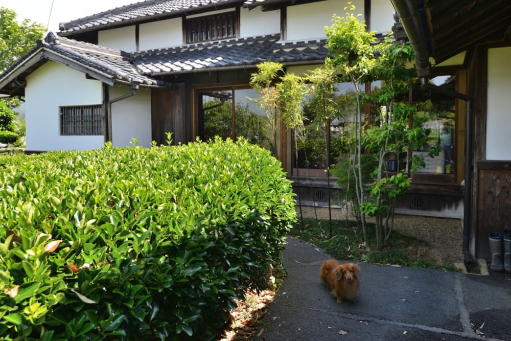 Kotorian — 4-Star Luxury Hotel in Kashihara-Shi, Japan