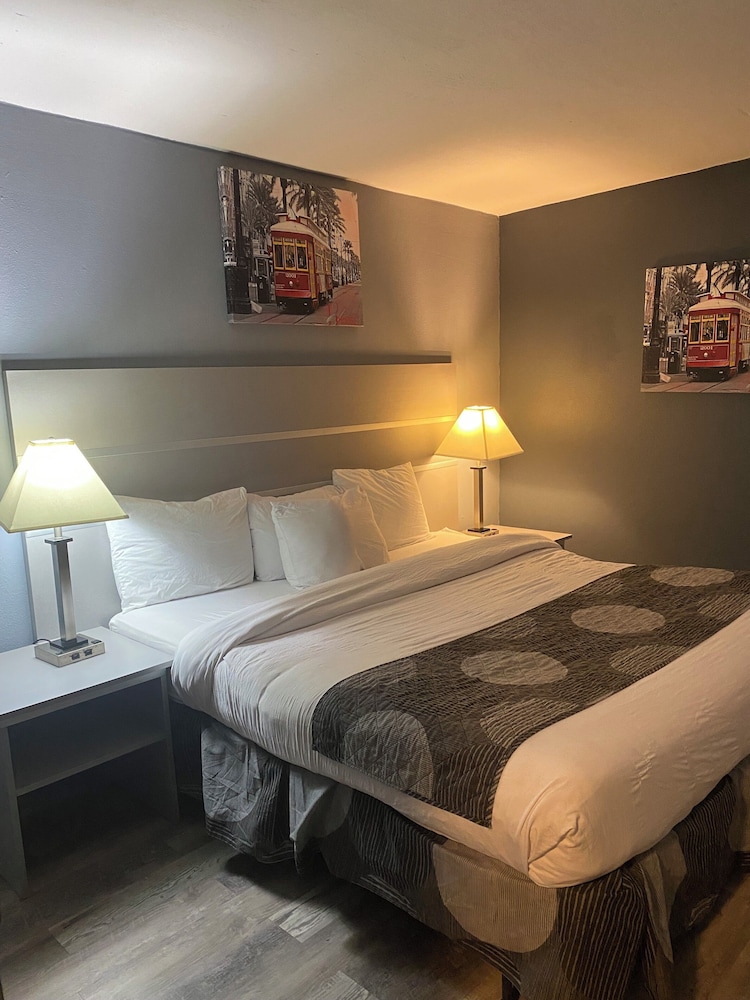 Hotel 10 Extended Stay - photo 10