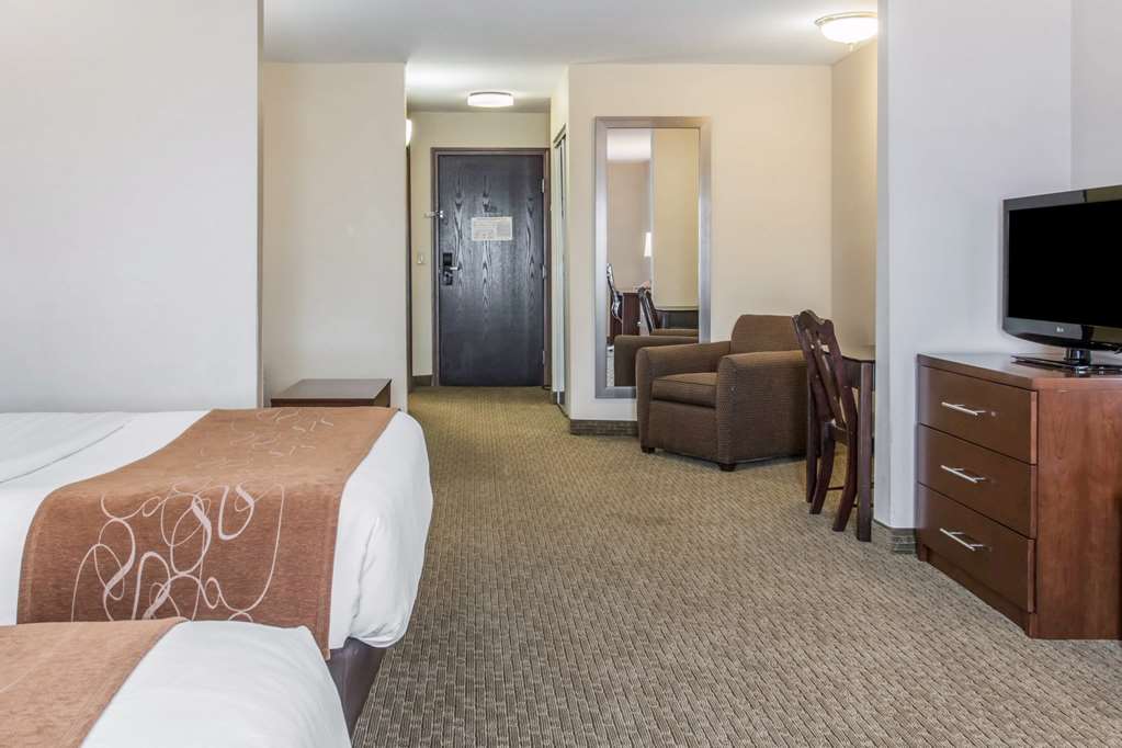 Comfort Suites Wixom Novi - photo 18