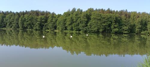 Agro Tur Domki w Szuwarach — Wegorzewo — photo 5