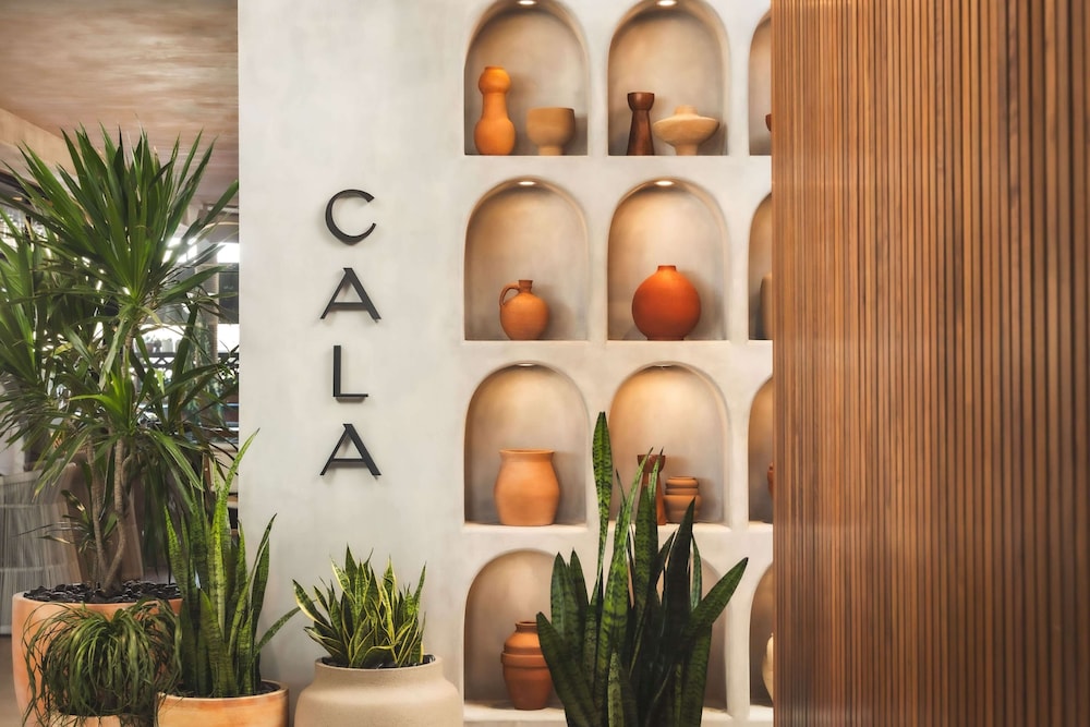 Senna House Hotel Scottsdale Curio Collection by Hilton - photo 60